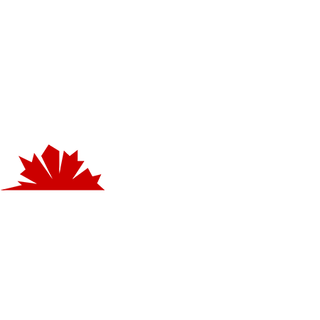 ACE System – ACE System